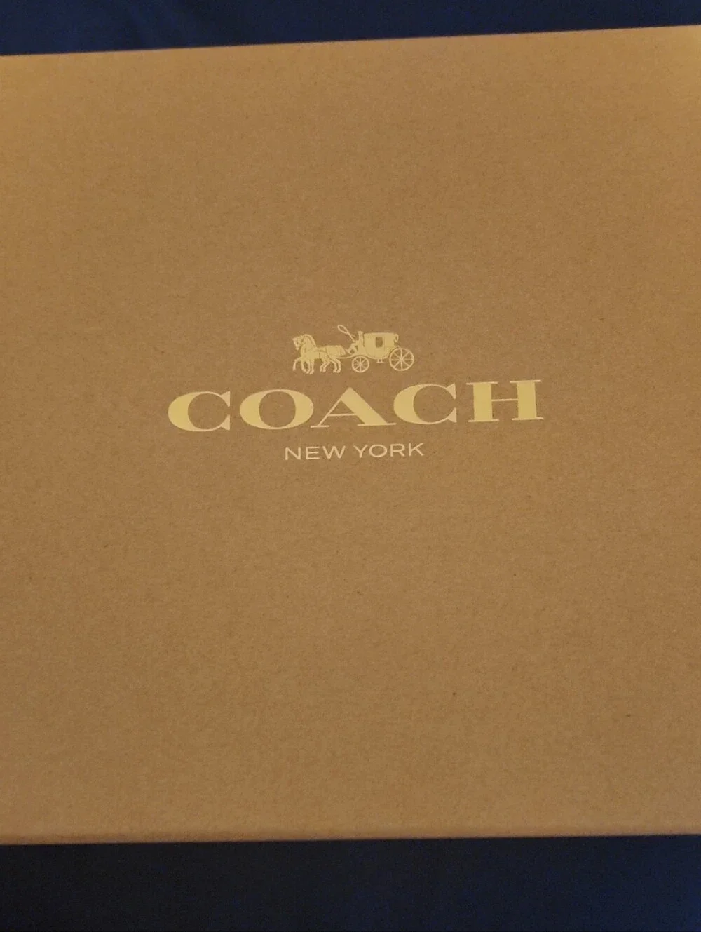 Coach Dog Collar